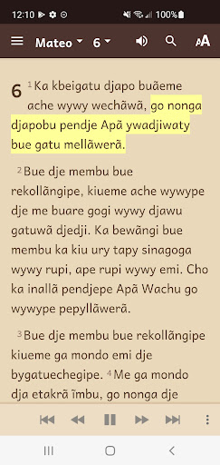 Ache Bible Screen 3