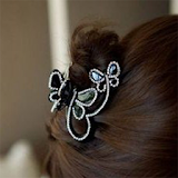 Design of Womens Hair Clasp icon