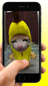 Banana Cat Video Call Meme