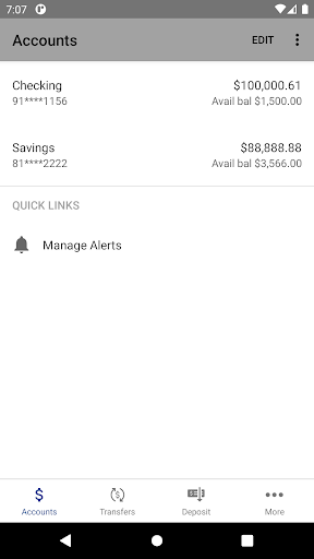 ORLEX Government Employees CU Screen 3