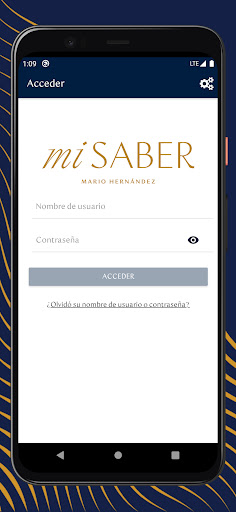 Mi Saber Screen 2