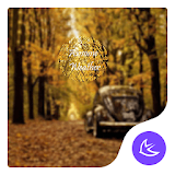 Yellow Autumn Leaves theme & HD wallpapers icon