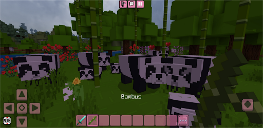 Bloxx Craft Girl Screen 3