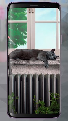 レイジーグレイキャットライブ壁紙 Cute Lazy Catのおすすめ画像3