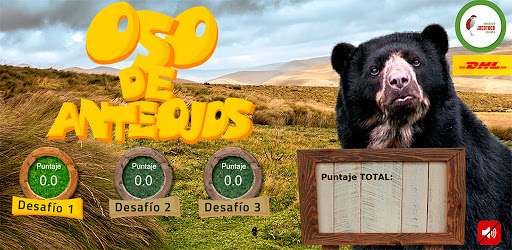 Desafíos del Oso de Anteojos