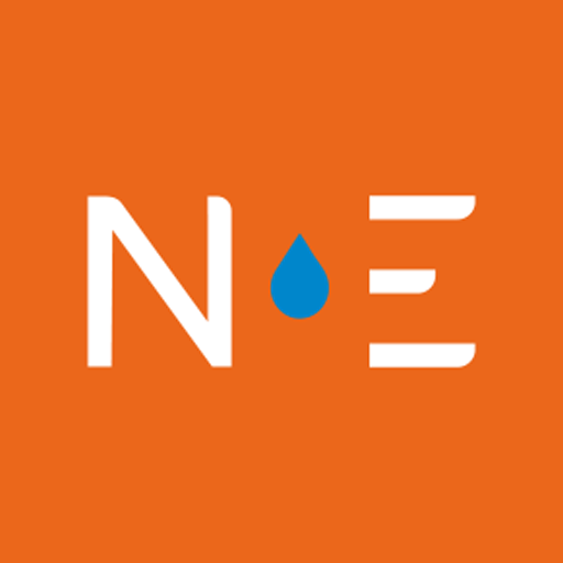 Niveau logo