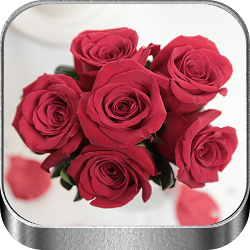 Rosas Rojas de Amor logo