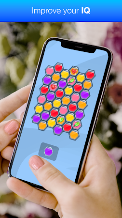Game screenshot Hexa Match mod apk