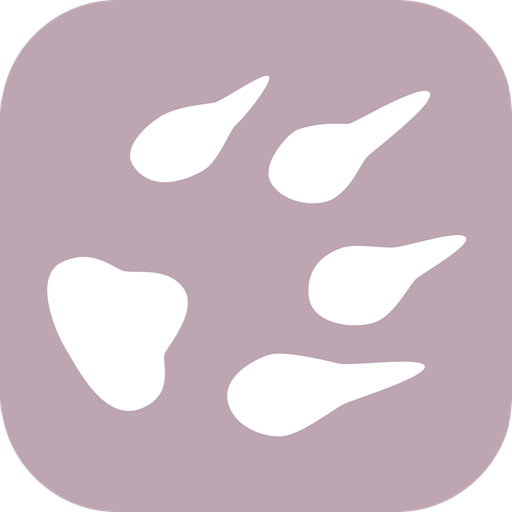 Floofins & Co. Logo