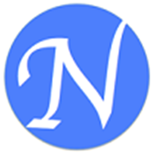 Nedsom ONLINE GIRODIRECTO logo
