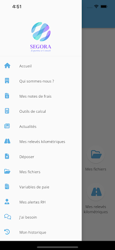 SEGORA Expertise et Conseil Screen 3