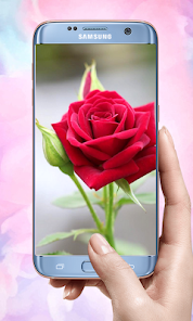 Screenshot 14 Rose Mobile Wallpapers android