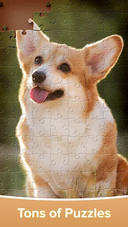 Game screenshot Jigsaw Puzzles: HD Puzzle Game hack