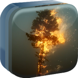 Tree on Fire Live Wallpaper icon