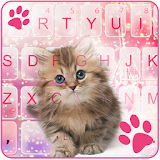 Kitty Keyboard icon