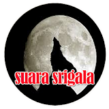 Suara Srigala - Wolf Sound Mp3 icon