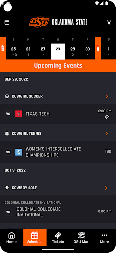 Screenshot of Go Pokes