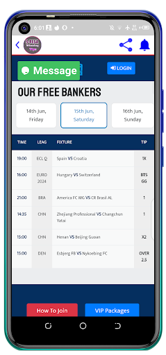 Sports Winning Tips (S-PESA) Screen 3