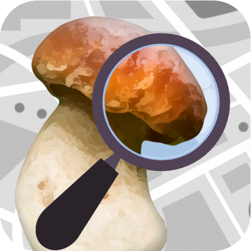 Mushroom Identify - Automatic picture recognition विंडोज़ पर डाउनलोड करें