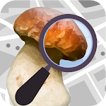 Cover Image of Download Mushroom Identify - Automatic picture recognition 2.66 APK