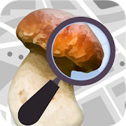 Mushroom Identify - Automatic picture recognition