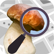 Mushroom Identify - Automatic picture recognition  for PC Windows and Mac