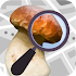 Mushroom Identify - Automatic picture recognition 2.78