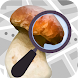 Mushroom Identify - Automatic - Androidアプリ