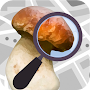 Mushroom Identify - Automatic 