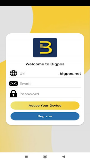 BIG POS Lite Screen 3