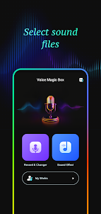 Voice Magic Box