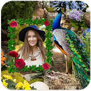 Top 30 Photography Apps Like Peacock Photo Frames - Best Alternatives