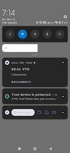 REAL VPN