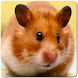 Cute Hamster Wallpaper - Androidアプリ