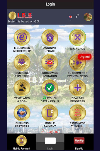 International Business System