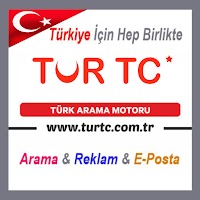 Türk Arama Motoru