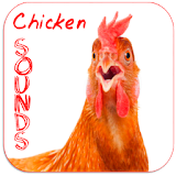 Chicken sounds icon