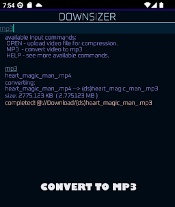 Downsizer - Video to MP3