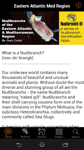 Nudibranch ID EAtlantic MedSea Screen 2