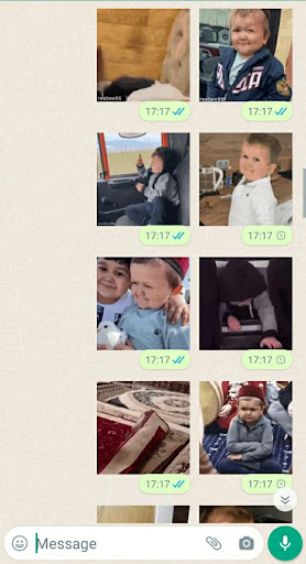 Hasbulla Stickers Animés