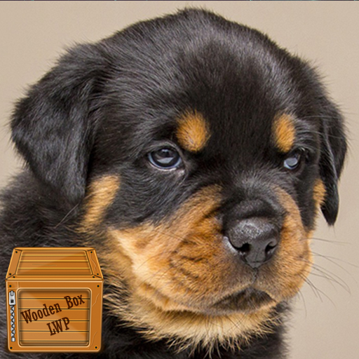 rottweiler puppy wallpaper logo