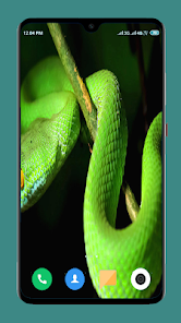 Snake Wallpaper HD  screenshots 16