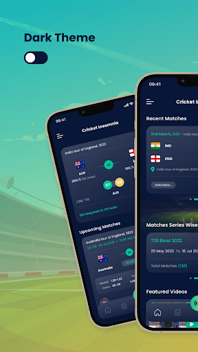 Cricket Insomnia Screen 3