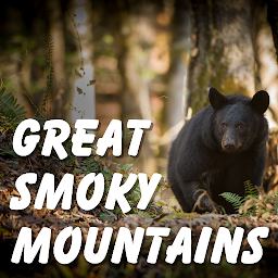 Icon image Great Smoky Mountains NP Guide
