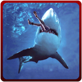 Angry Shark Revenge Attack 3D icon