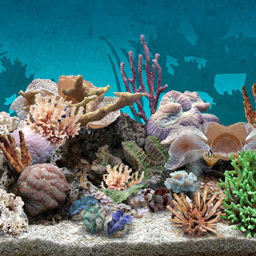 Aquarium Background 3d Wallpaper Image Num 56