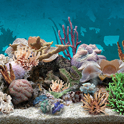 「3D Aquarium Live Wallpaper」圖示圖片
