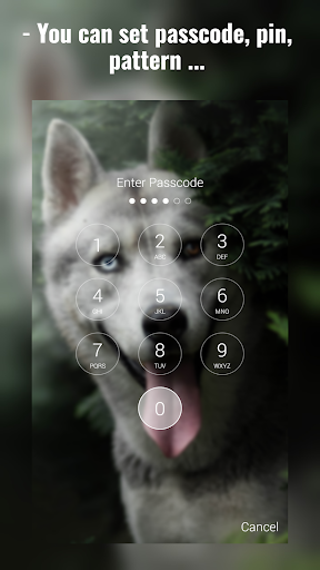 Siberian Husky Lock Screen Screen 2
