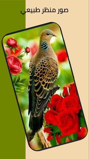 صور مناظر طبيعية Screen 2
