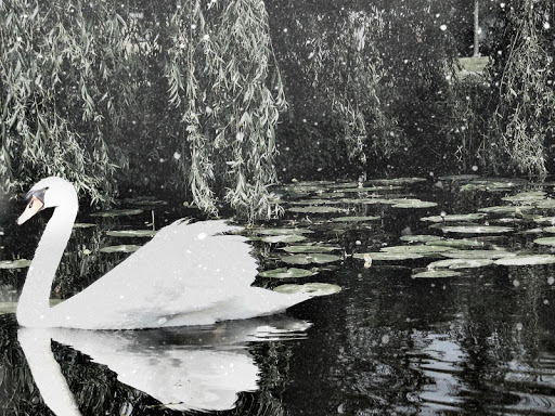 Screenshot of Snow Daze